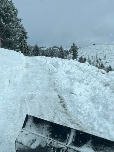 Road Clearing for HighCountry Excavation MT in Emigrant, MT