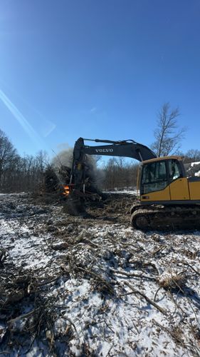 Land Clearing for Travis Excavating LLC in Olney,, IL