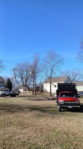 All Photos for Gray's Tree Service  in Shenandoah County, VA