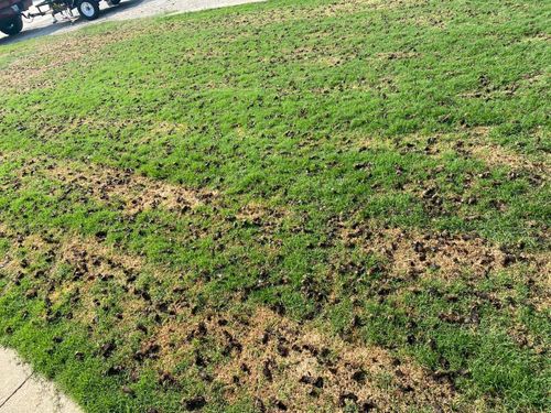 Lawn Aeration for North Texas Groundscaping in Frisco, TX