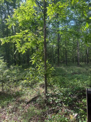  for TD Dirtworks in Tracy City, TN