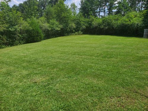 Lawn Maintenance for Hendrix Family Landscaping in Dallas, GA