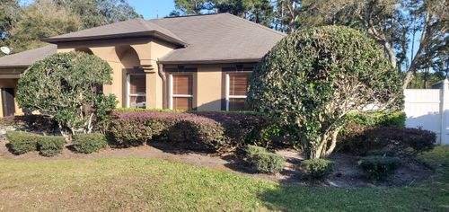 All Photos for Highlife Tree Care And Landscaping in Altamonte Springs, FL