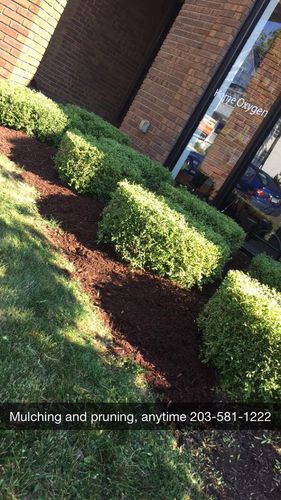Landscaping Design for Matty L's Lawn and Tree Care in Monroe, CT