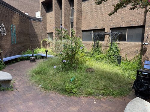 All Photos for JBB Landscaping in Concord, NC