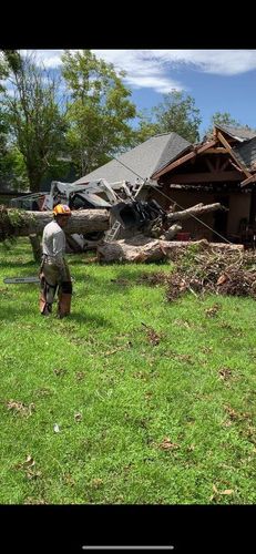  for AB Tree Service in Raleigh, NC