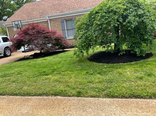 Fall and Spring Clean Up for Eddie’s Lawn Care in Chesapeake, VA