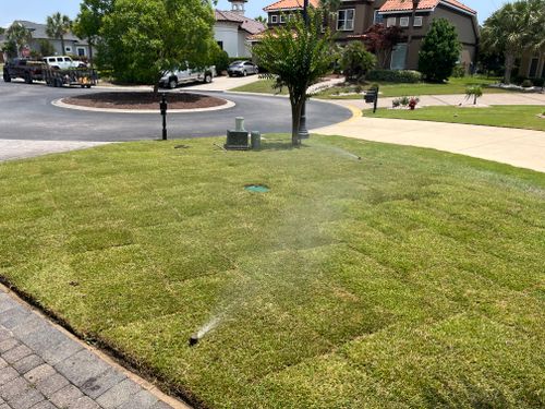 All Photos for New Creation Landscaping in Myrtle Beach, SC