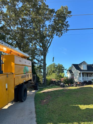  for ArborMax in Thomaston, GA