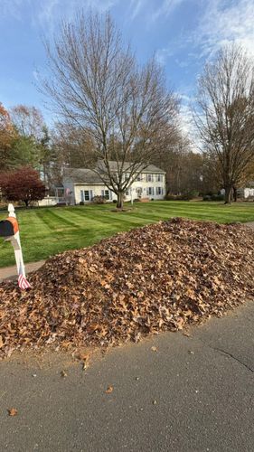 Fall Clean Up for Chapman's Lawn & Landscape in Ellington, CT