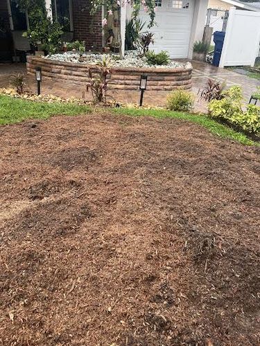  for KB’s Stump Removal in Seminole, FL