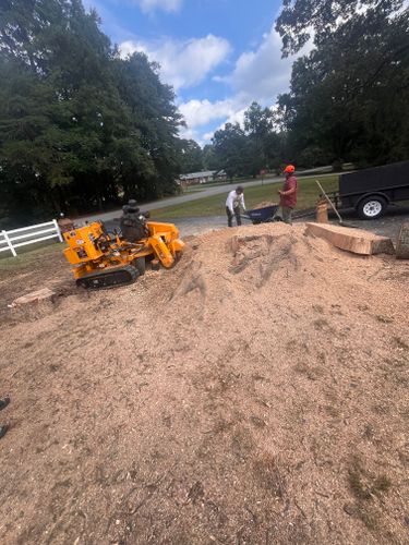  for Ricky's Tree Service & Property Care in Orange, VA