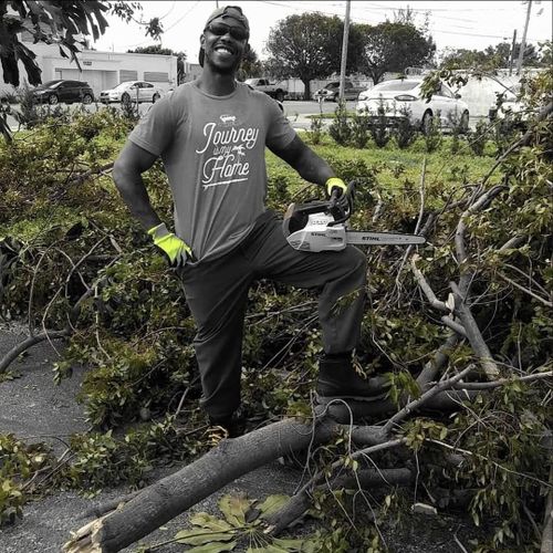 All Photos for Bridgewater Arbor Care LLC in Jupiter, FL