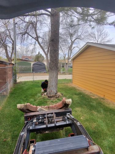  for Elevated Tree Care in Gillette, WY