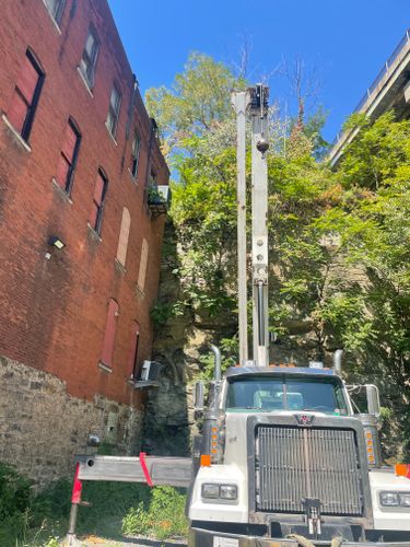  for TLC Professional Tree Service in Bedford, TX