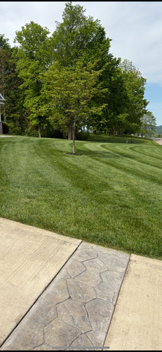  for Red Beard Lawn Care in Chillicothe, OH