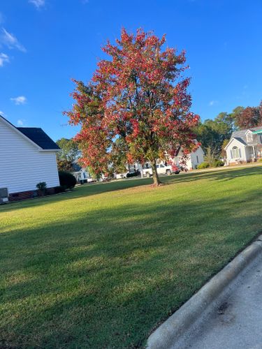 Mowing for Paul's Lawn Care and Pressure Washing in Wilson, NC