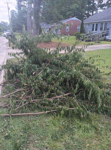  for Brothers On Point Lawn And Junk Removal in Wilson, NC