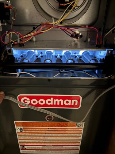  for A+ Quality Construction in Lakeland, TN