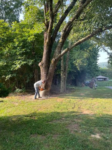 All Photos for Tree Guys Pressure Washing & Stump Grinding in Scottsboro, AL