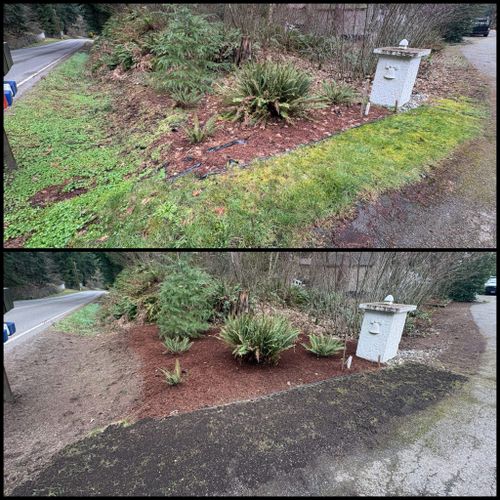 Property Clean-Up for Golovin Property Services LLC in Marysville, WA