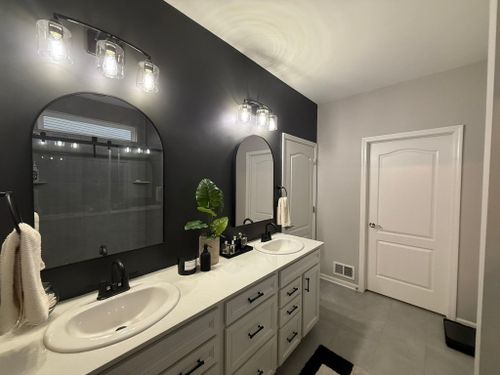  for Apex Painting in Wayne County, MI