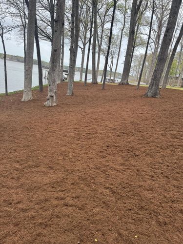 Mulch Installation for Rosales Landscaping LLC in Lake Gaston, North Carolina