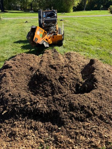 Stump Removal for Jills Stump Grinding and Firewood in Shelton, CT