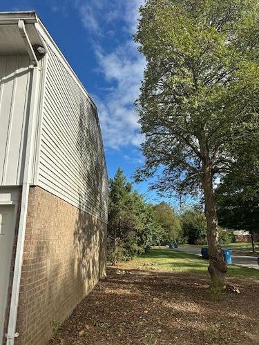All Photos for Pro Tree Trim & Removal, Llc in Dayton, OH