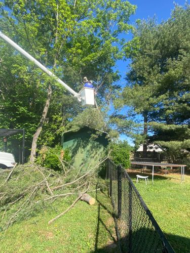 Emergency Tree Service for JayBird Tree Service  in Goodlettsville, TN
