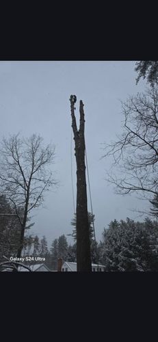 All Photos for Blue Ribbon Tree Service in Gilford, NH