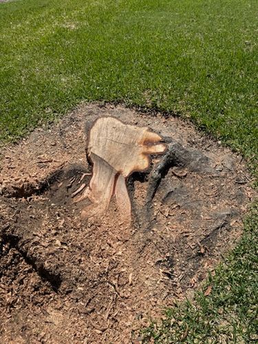  for Tomas Stump Grinding in Giddings, TX