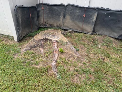 Stump Removal for Conrad's Stump Removal in Columbus, IN