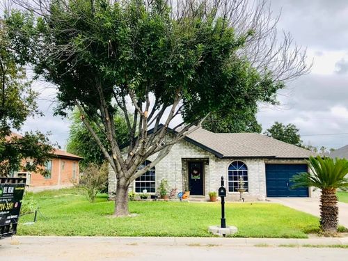 Tree Trimming and Removal for Del Real Landscape Contractors LLC in Del Rio, TX