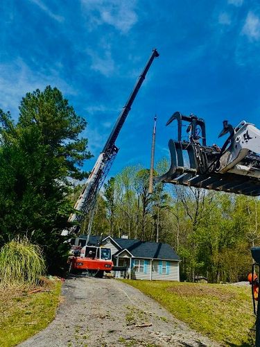 for Advanced Tree Pros & Landscape in Knightdale, NC