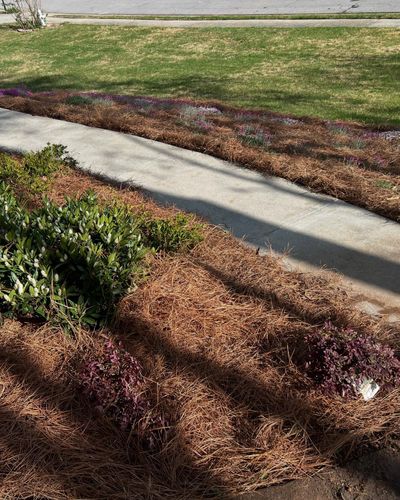 Lawn Maintenance for Amerigreen Lawn & Landscape in Atlanta, GA