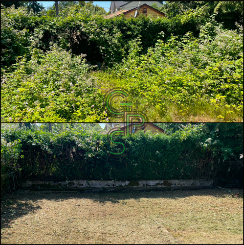 Brush Clearing - Bramble Clearing - Blackberry Clearing for Golovin Property Services LLC in Marysville, WA