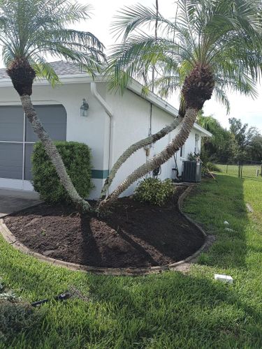 Flowerbed Installation and Maintenance for Unity Maintenance and More LLC in Englewood, FL