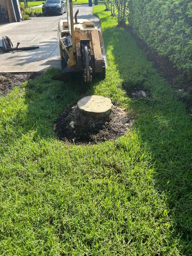  for Grizzly Stump Grinding in Sarasota, FL