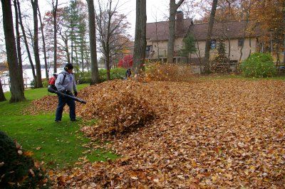 Spring and Fall Clean-Ups for Thomas' Lawn Care in Maryville, MO