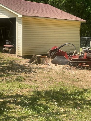 Tree Services for Tree Guys Pressure Washing & Stump Grinding in Scottsboro, AL