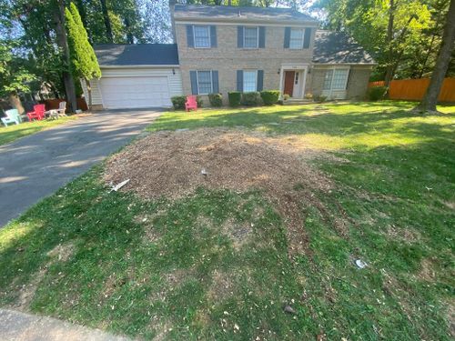 Stump Removal for DIAZ TREE in Stafford, VA