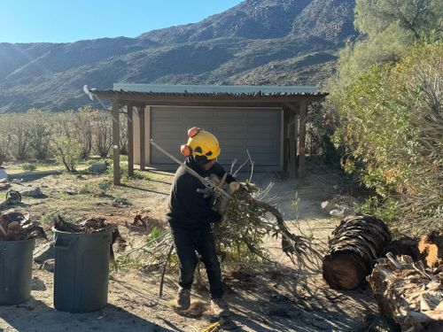 Property Beautification for The Tree Fairy in Temecula, CA