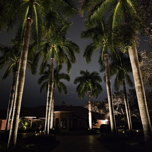 Landscape Lighting for Natural View Landscape, Inc.  in Loxahatchee, FL