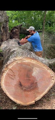 All Photos for Tree Guys Pressure Washing & Stump Grinding in Scottsboro, AL