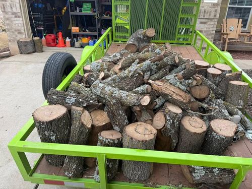 Tree Removal for Oakley’s Stump ‘N Grind in Leander, TX