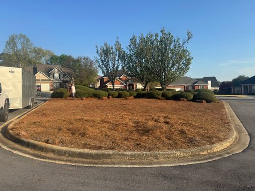 All Photos for Myles Mows in Augusta, GA