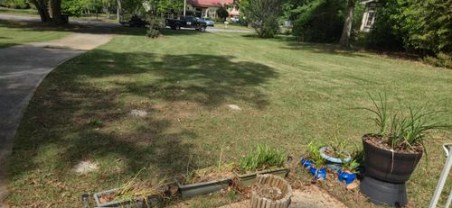 Mowing for Fresh Cut Yard & Lawn Care LLC in Forsyth, GA