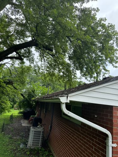 All Photos for Pro Tree Trim & Removal, Llc in Dayton, OH