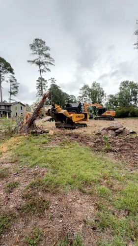 Stump Excavation for Dozier Stump Grinding in Augusta, GA
